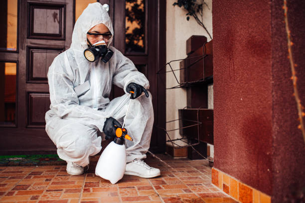 Reliable Bed Bug Control contractor in Hildale, UT by Nex Pest Control